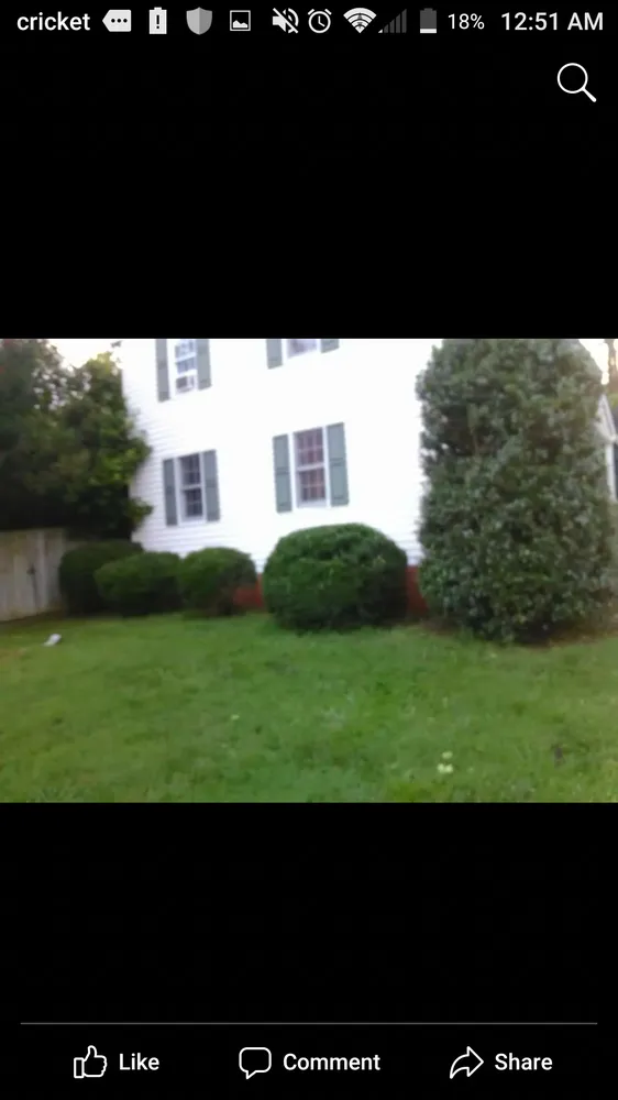 Top-rated yard maintenance for year-round maintenance in Richmond, VA by A&C Complete Service