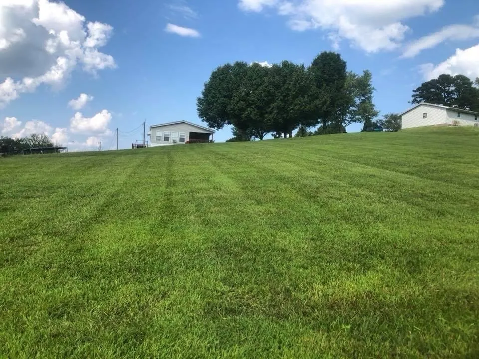 Reliable yard cleanup service experts serving Corbin, KY - A&C