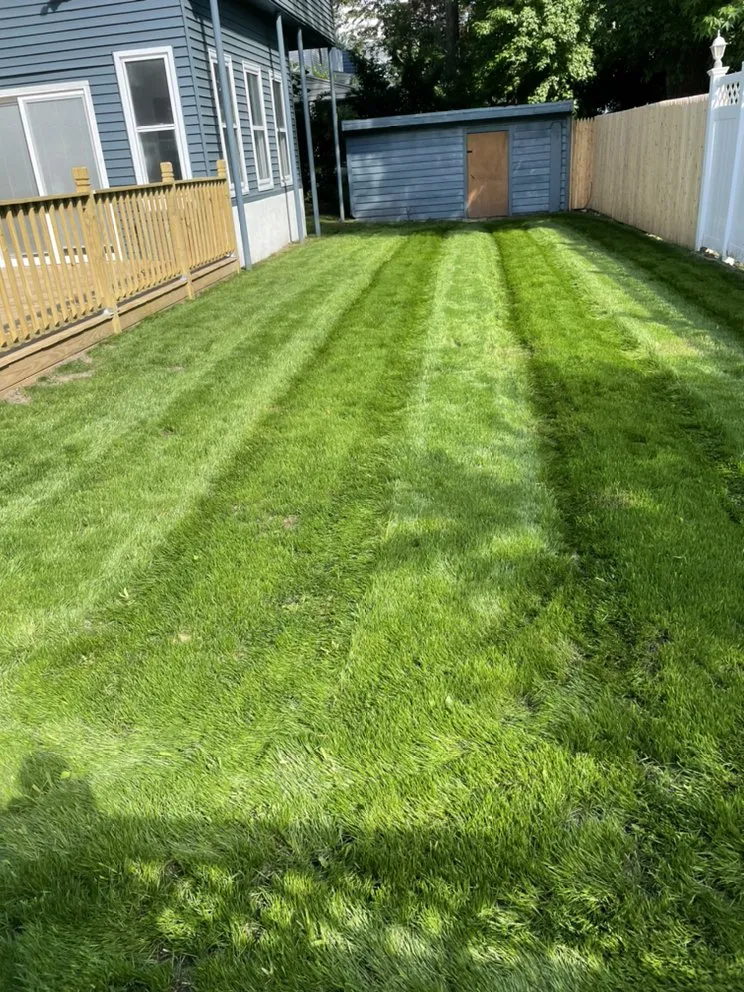 Local yard cleanup service in Paterson, NJ - A&C Flores Landscaping