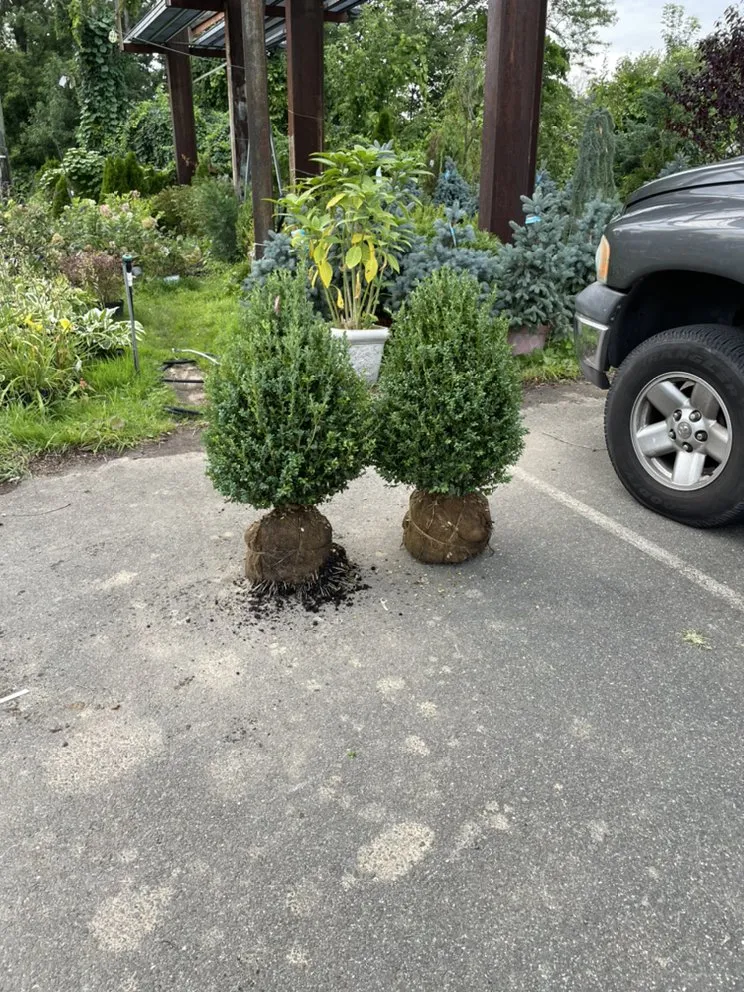 Local yard maintenance in Paterson, NJ by A&C Flores Landscaping