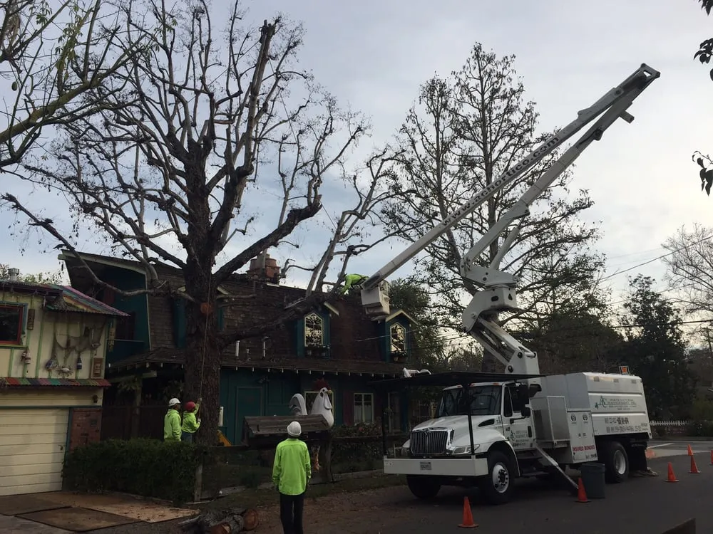 Affordable outdoor landscaping experts serving Chatsworth, CA - AC Horticultural Management