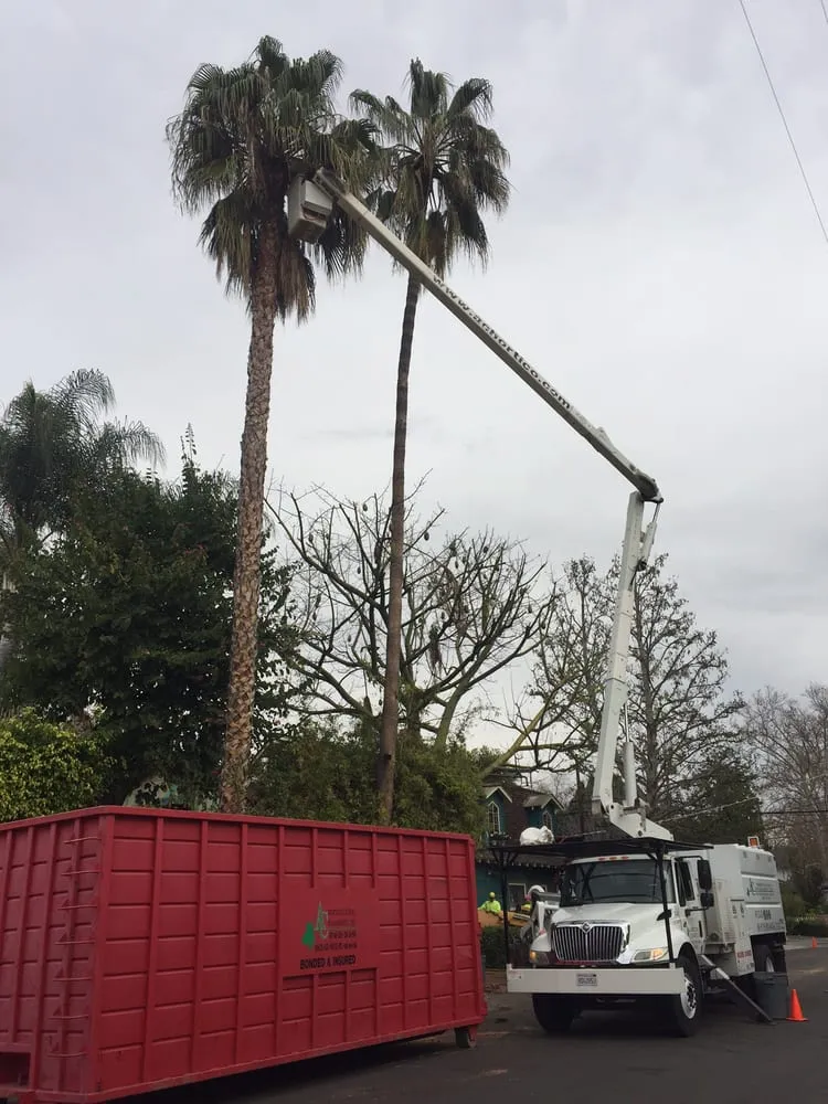 Local landscape installation in Chatsworth, CA by AC Horticultural Management