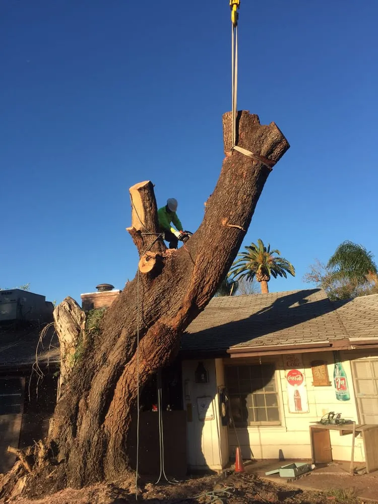 Top-rated yard maintenance for beautiful yards in Chatsworth, CA by AC Horticultural Management