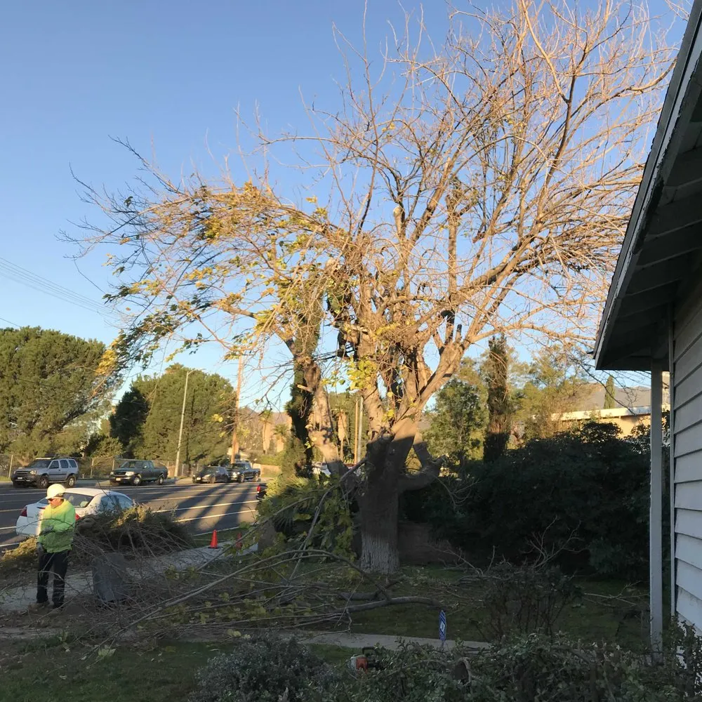 Reliable residential landscaping in Chatsworth, CA by AC Horticultural Management