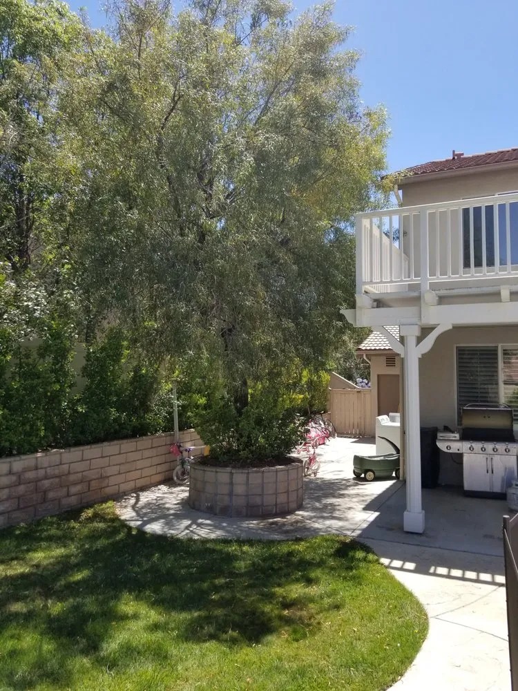 Reliable yard maintenance in Chatsworth, CA - AC Horticultural Management