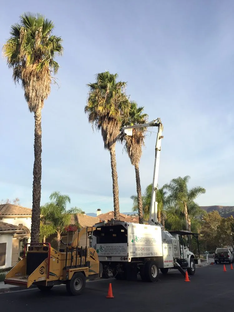 Professional garden landscaping for outdoor upgrades across Chatsworth, CA - AC Horticultural Management