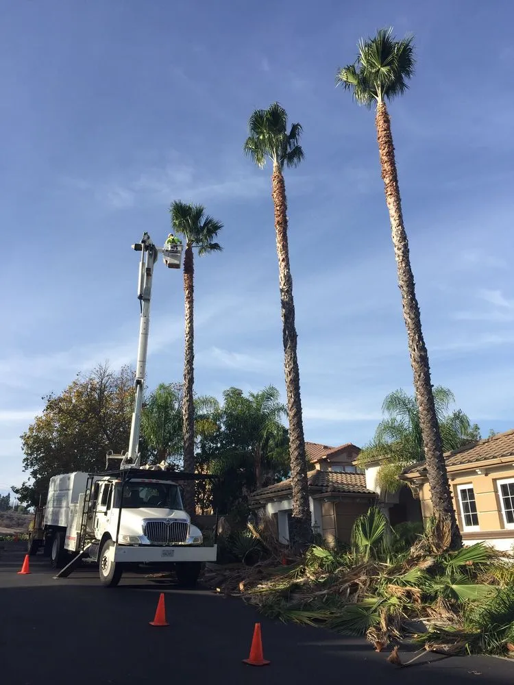 Professional landscape installation for year-round maintenance in Chatsworth, CA by AC Horticultural Management