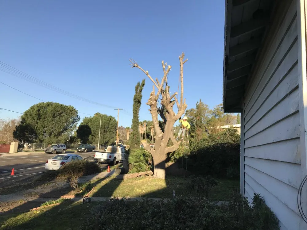 Expert garden landscaping in Chatsworth, CA by AC Horticultural Management