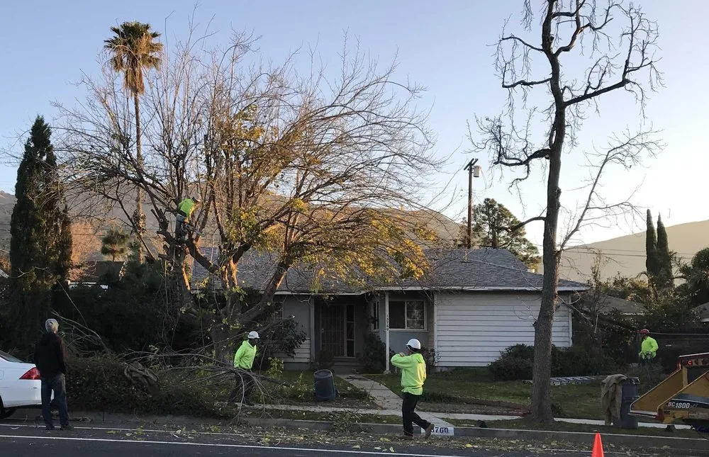 Local garden landscaping experts serving Chatsworth, CA - AC Horticultural Management