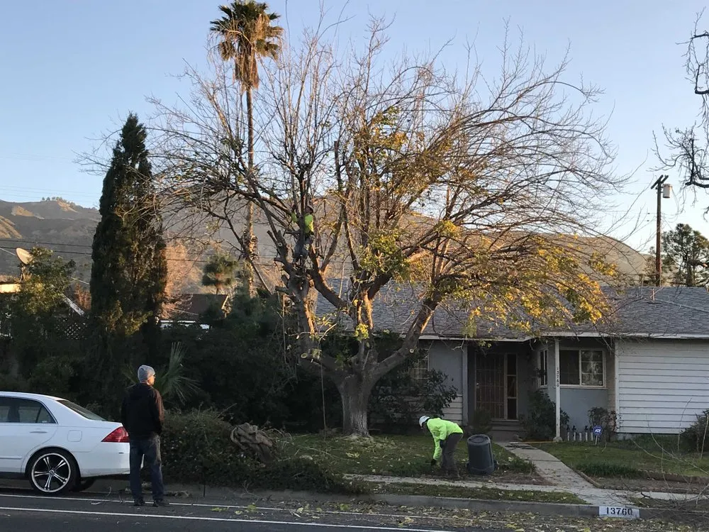 Professional lawn mowing service in Chatsworth, CA - AC Horticultural Management