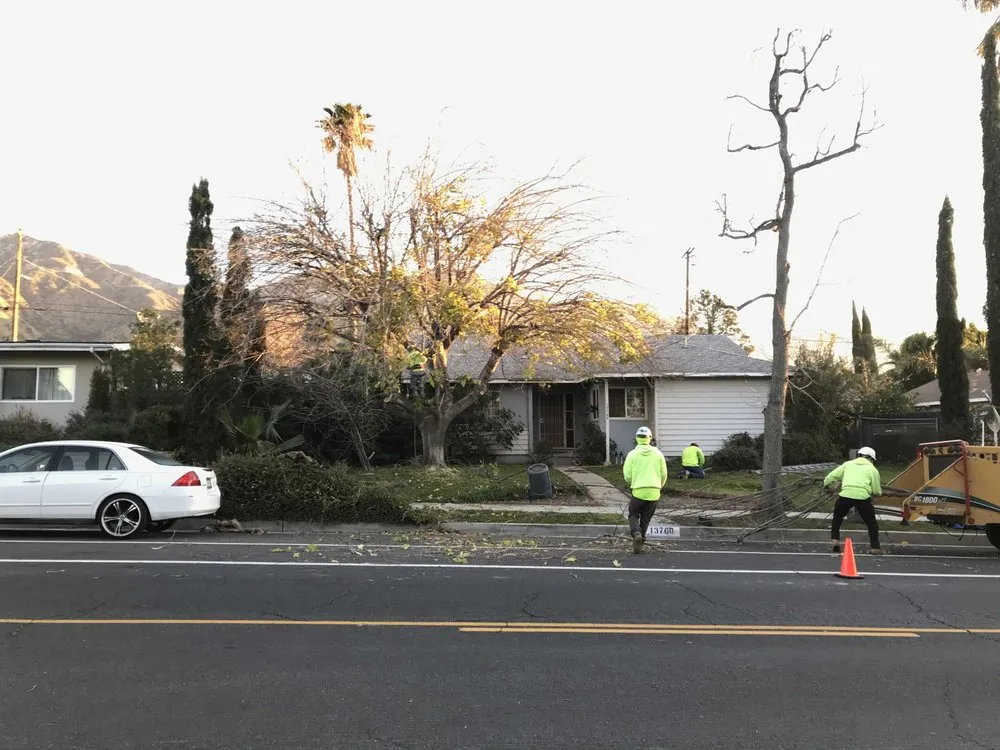 Top-rated landscaping services experts serving Chatsworth, CA - AC Horticultural Management