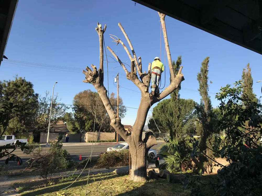 Expert lawn care service experts serving Chatsworth, CA - AC Horticultural Management