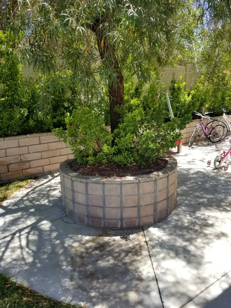 Expert garden landscaping with custom design across Chatsworth, CA - AC Horticultural Management