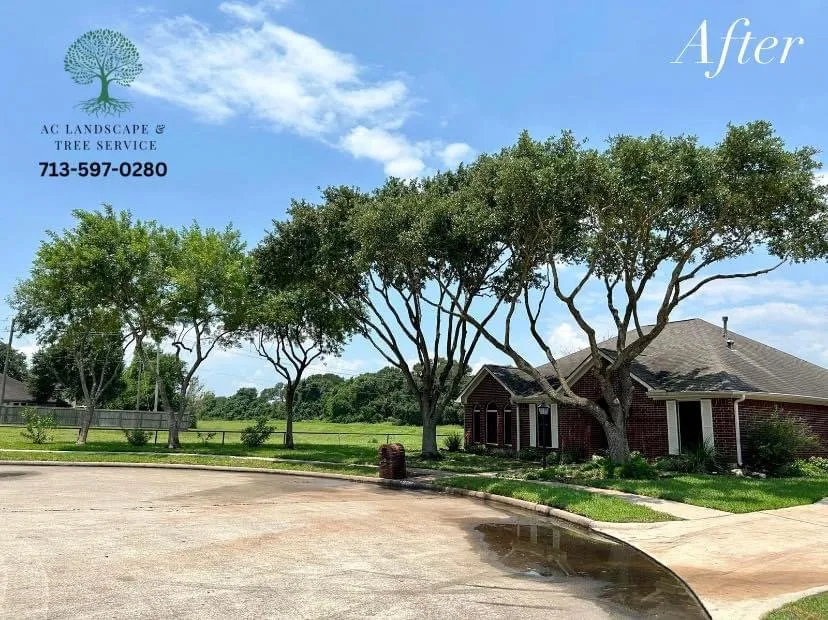 Affordable garden landscaping in Pasadena, TX by AC Landscape & Tree Service