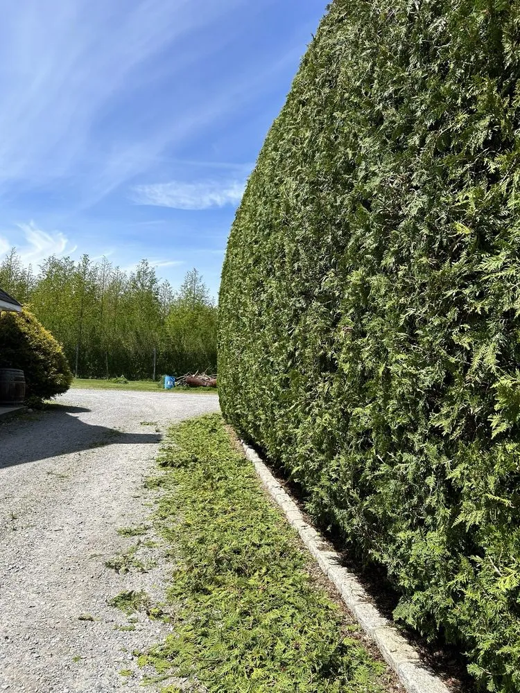 Custom lawn mowing service in Riverhead, NY by AC Landscape