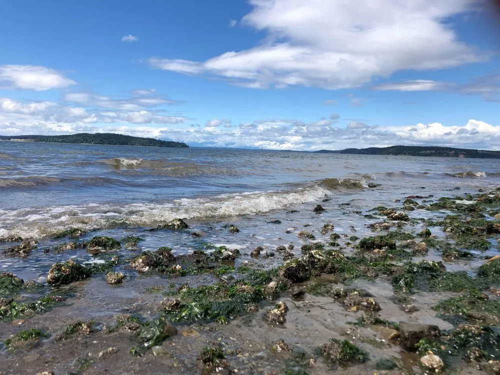 Professional garden landscaping experts serving Clovis, NM - AC landscaping & construction