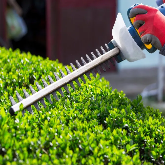 Professional yard cleanup service in Lawrenceville, GA by AC Landscaping & Maintenance