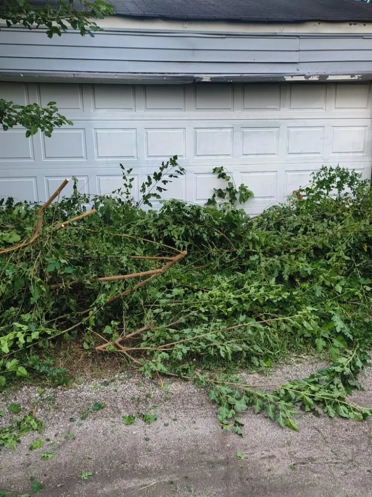 Custom yard cleanup service with custom design in Indianapolis, IN by A&C Landscaping and Hauling