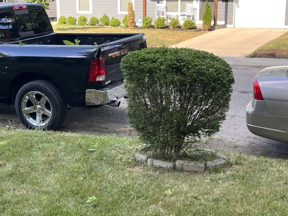 Affordable landscape design with custom design in Indianapolis, IN by A&C Landscaping and Hauling