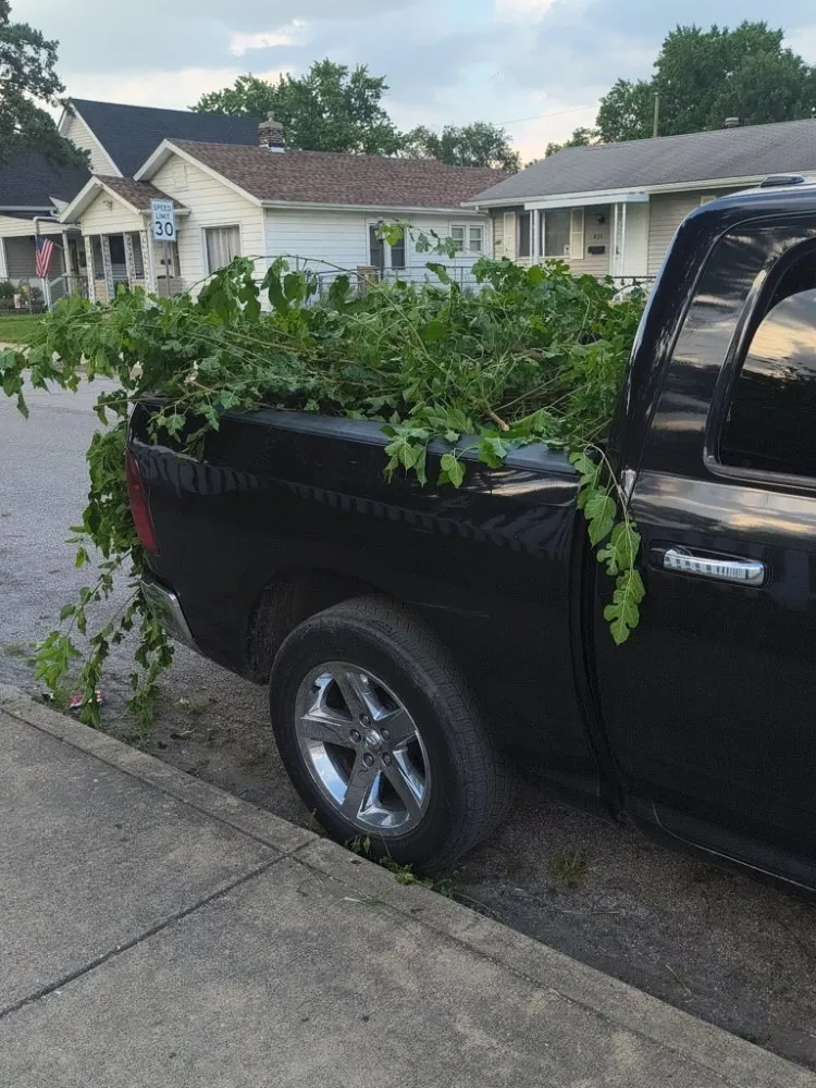 Expert outdoor landscaping in Indianapolis, IN by A&C Landscaping and Hauling