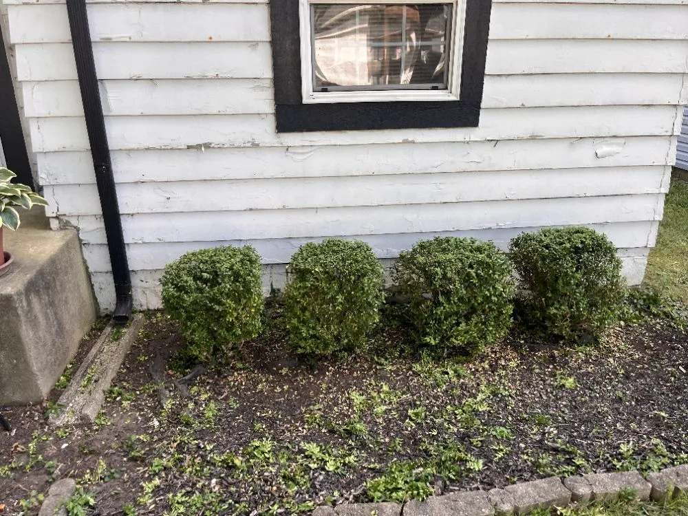 Top-rated lawn mowing service for year-round maintenance in Indianapolis, IN by A&C Landscaping and Hauling