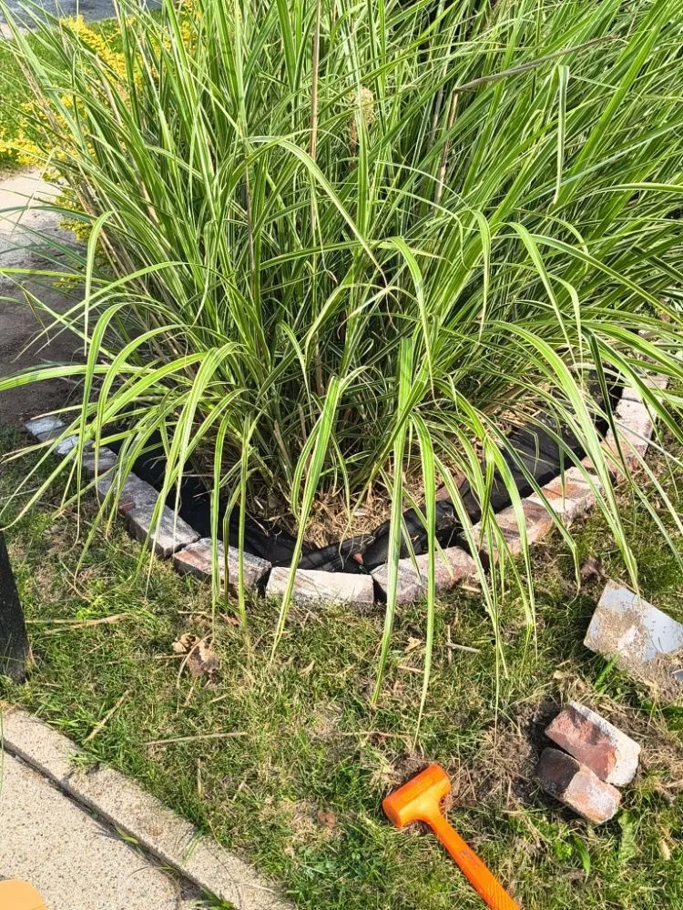 Reliable landscape installation experts serving Indianapolis, IN - A&C Landscaping and Hauling