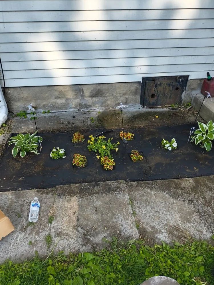 Reliable landscaping services experts serving Indianapolis, IN - A&C Landscaping and Hauling