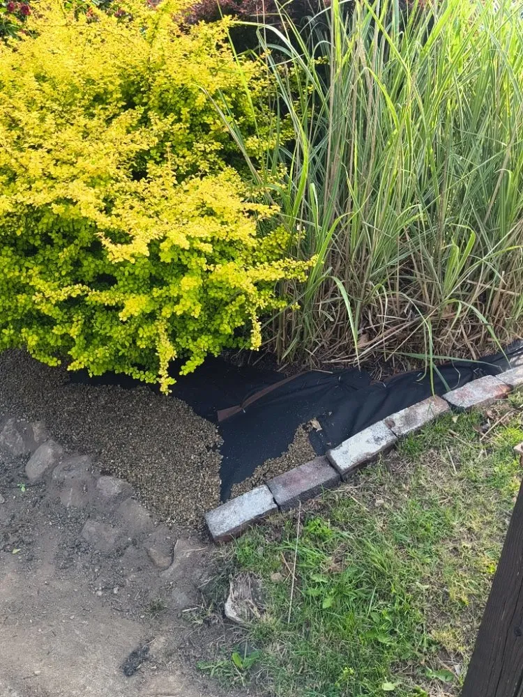 Custom landscaping services for year-round maintenance across Indianapolis, IN - A&C Landscaping and Hauling