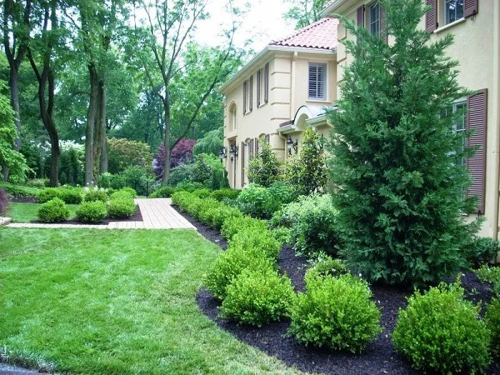 Affordable lawn care service for beautiful yards in Bristol, PA by AC Landscaping