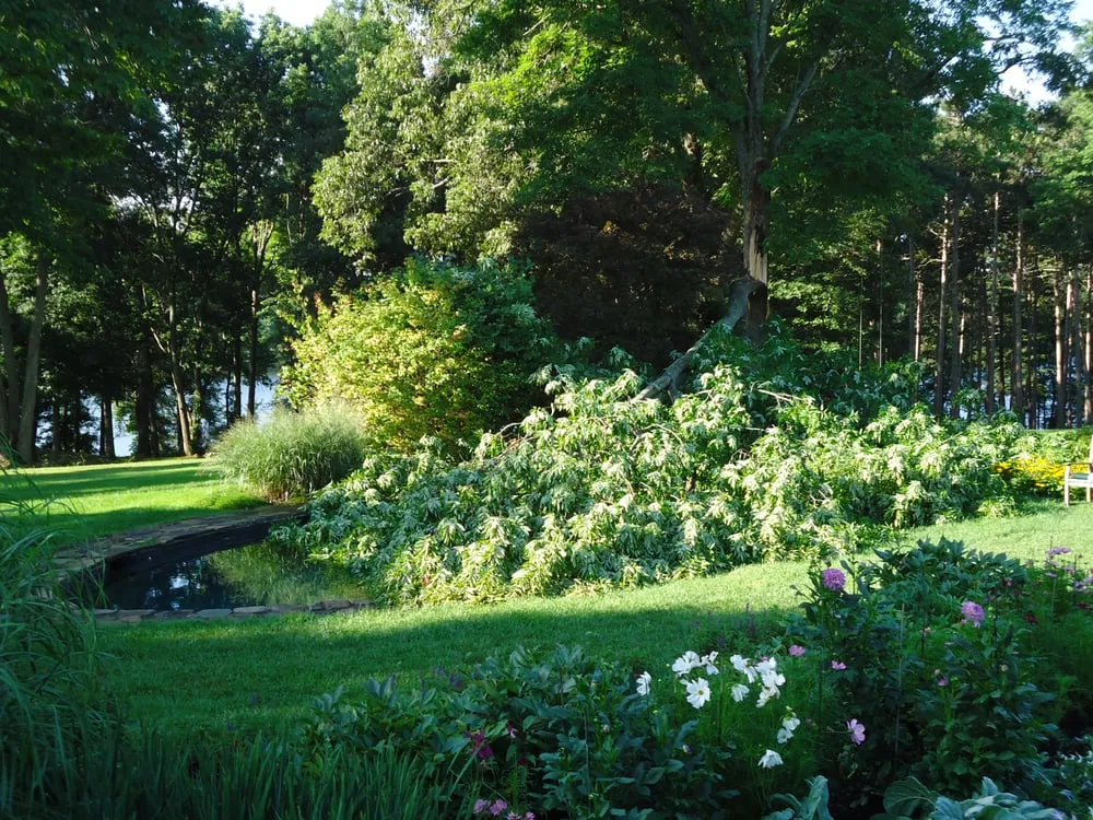 Local yard cleanup service near you across North Andover, MA - AC Landscaping, Inc.