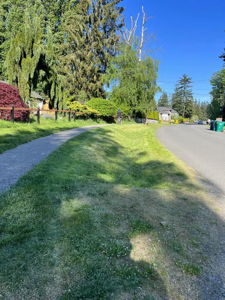 Affordable residential landscaping in Lynnwood, WA - AC Landscaping