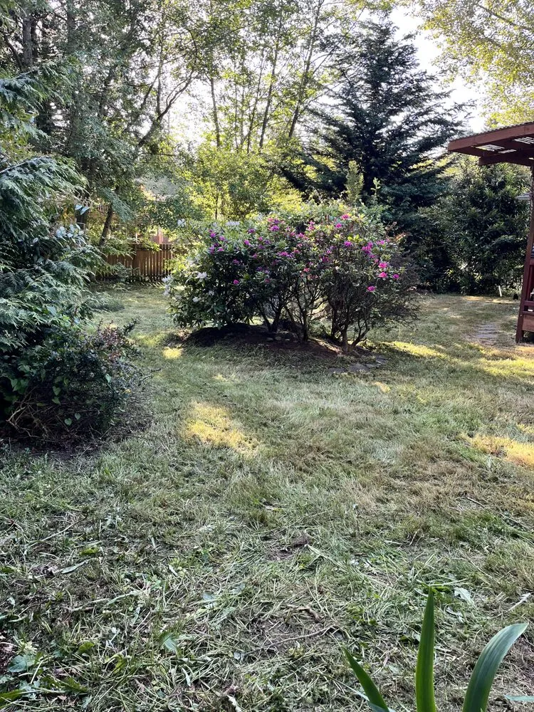 Top-rated outdoor landscaping in Lynnwood, WA by AC Landscaping