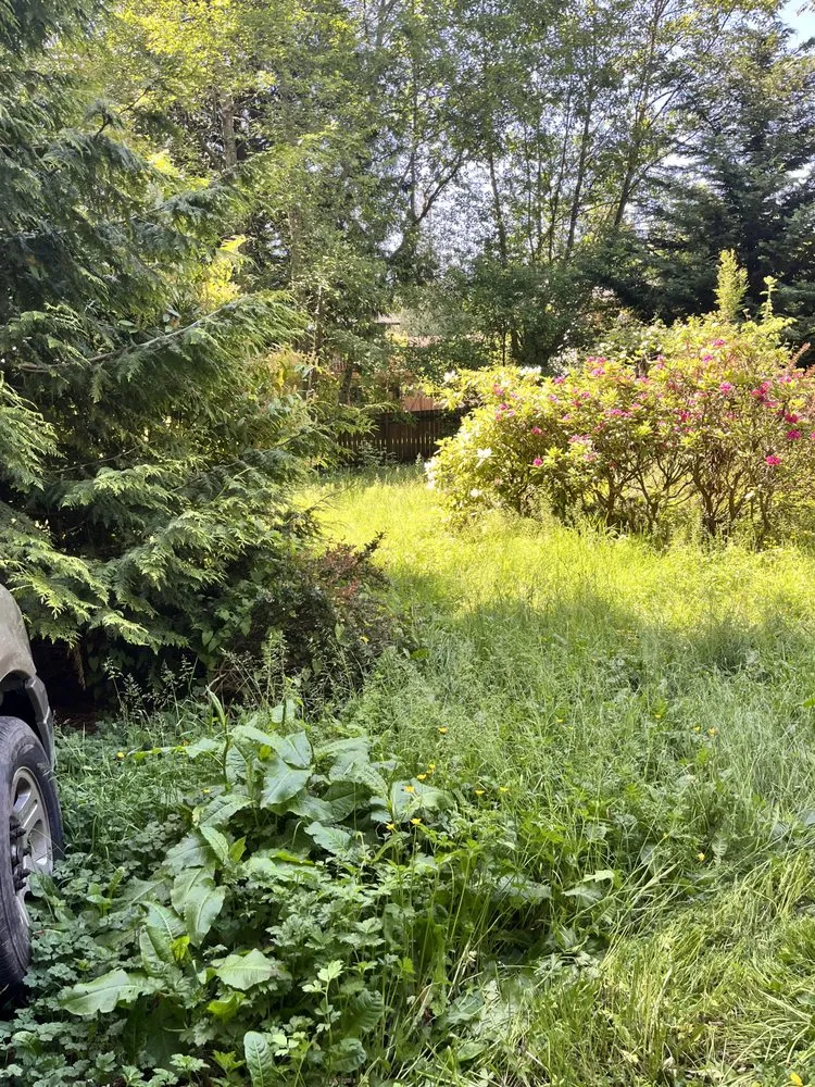 Local landscaping services in Lynnwood, WA - AC Landscaping