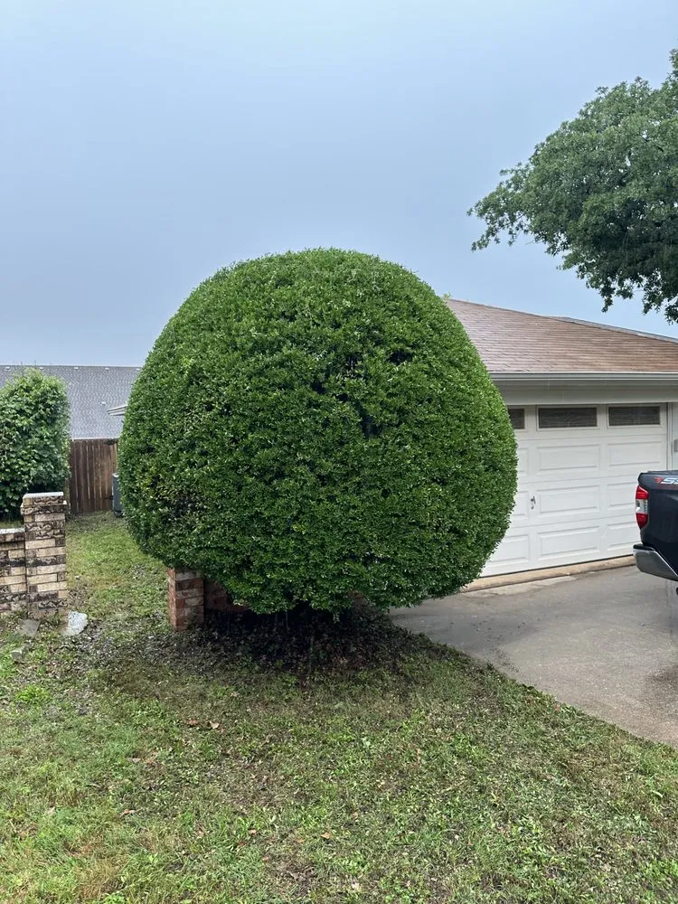 Reliable yard cleanup service in Mesquite, TX - AC Landscaping