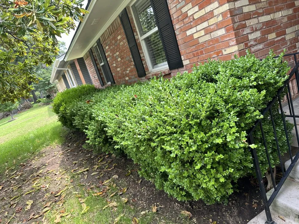 Local yard maintenance for homes in Mesquite, TX by AC Landscaping