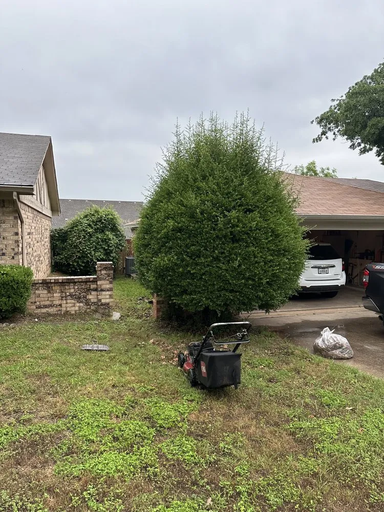 Trusted residential landscaping for residential properties in Mesquite, TX by AC Landscaping