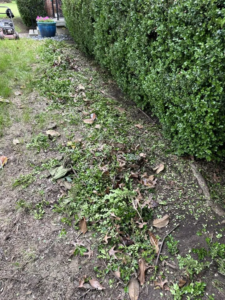 Professional outdoor landscaping with custom design across Mesquite, TX - AC Landscaping