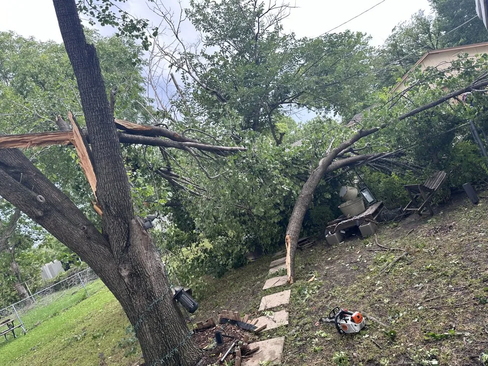 Professional lawn care service for beautiful yards in Mesquite, TX by AC Landscaping