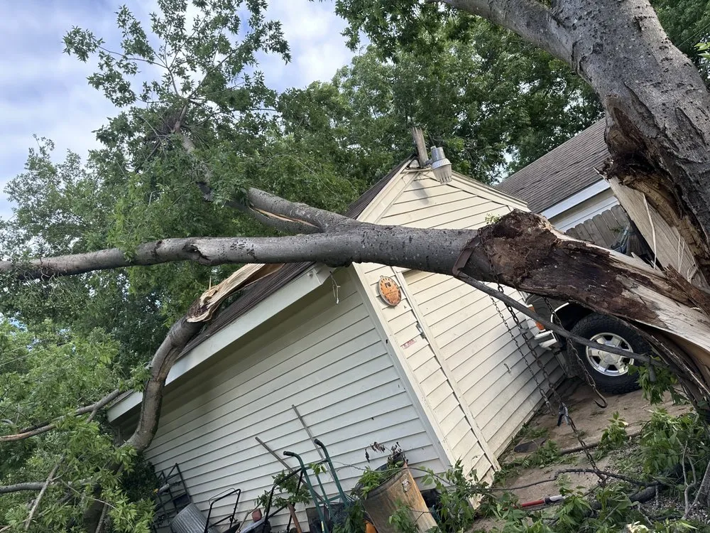 Professional yard maintenance for residential properties in Mesquite, TX by AC Landscaping