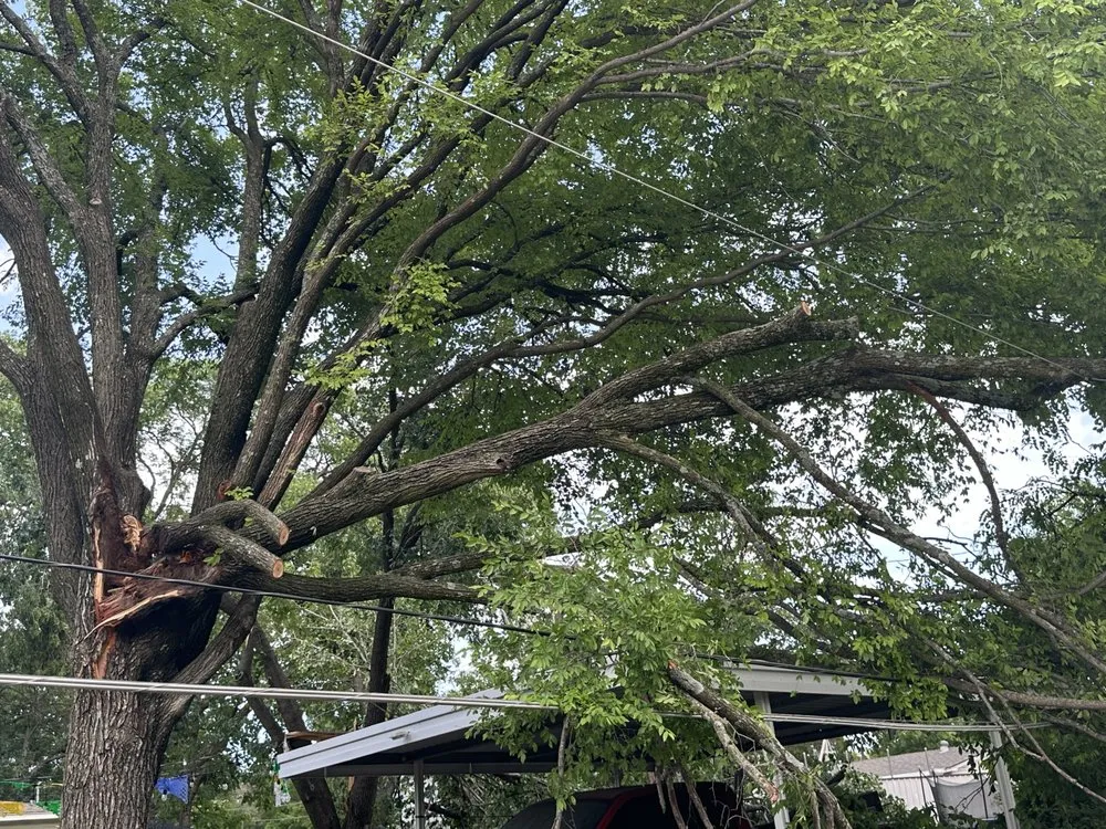 Trusted landscape design for homes in Mesquite, TX by AC Landscaping