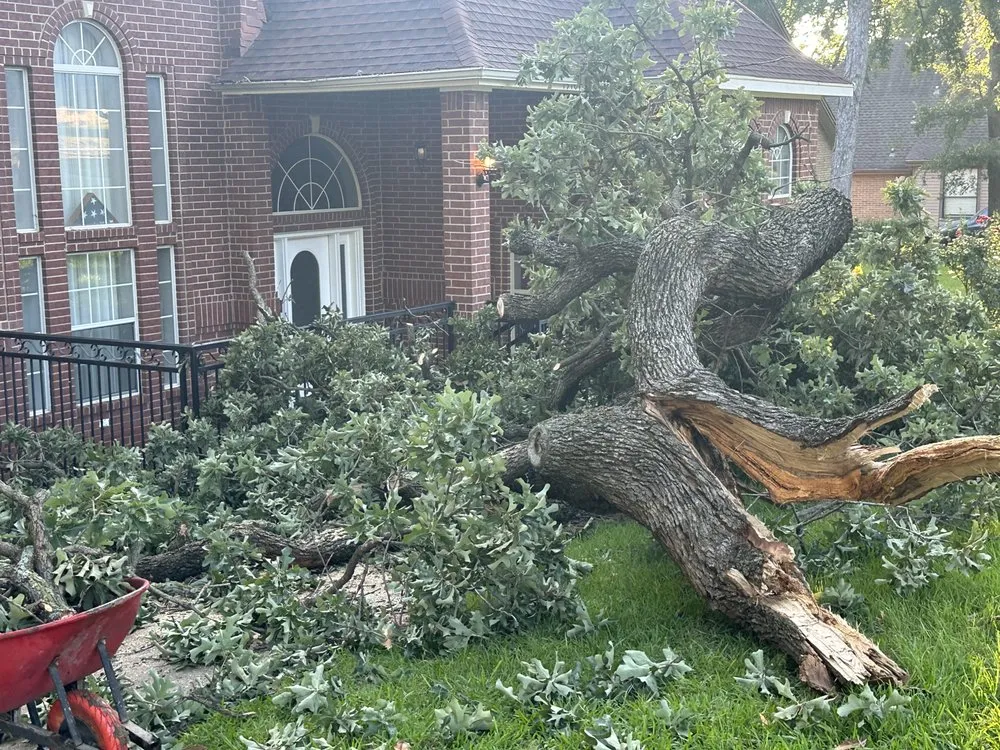 Affordable lawn mowing service for outdoor upgrades across Mesquite, TX - AC Landscaping