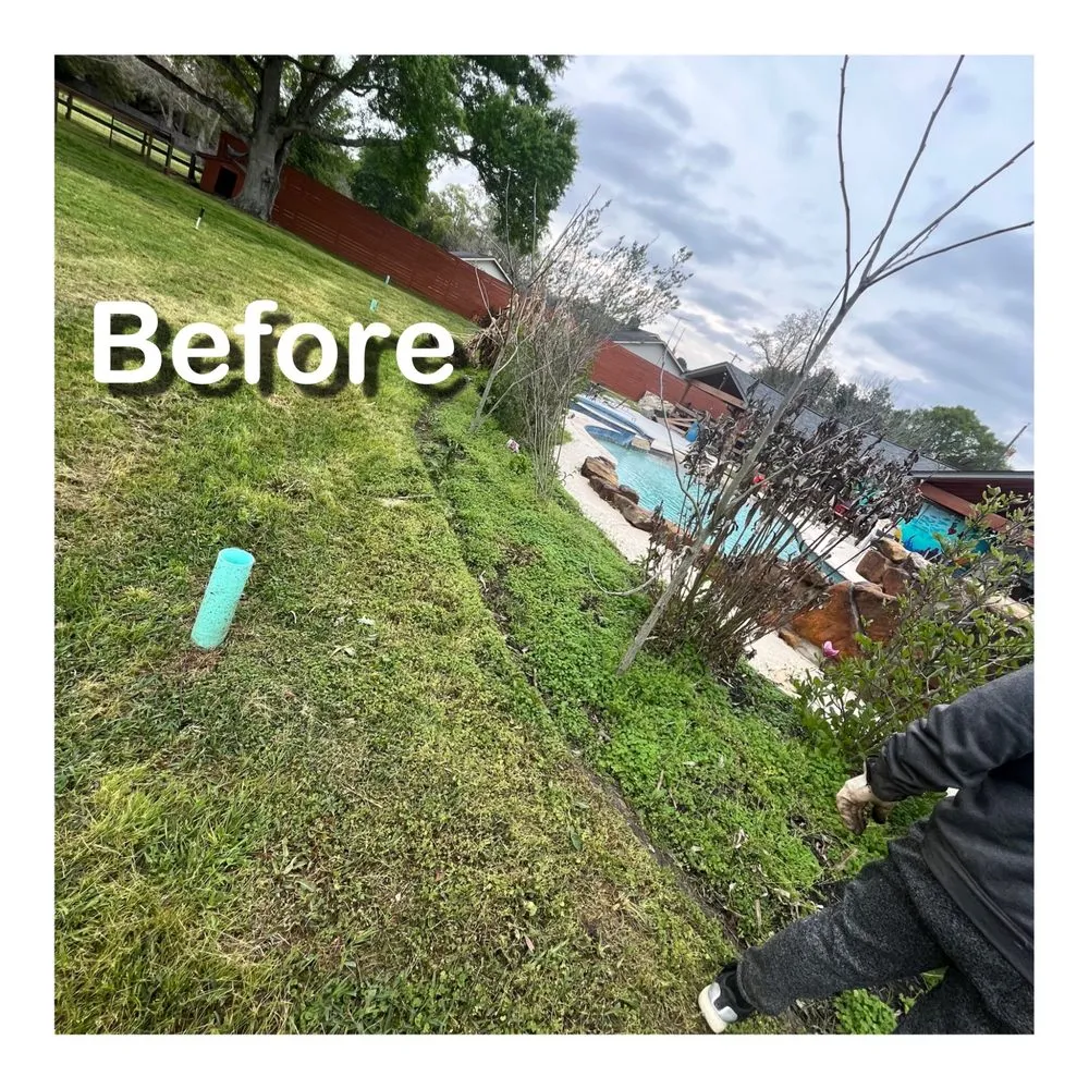 Professional landscaping services for year-round maintenance in Rosharon, TX by A&C Landscaping