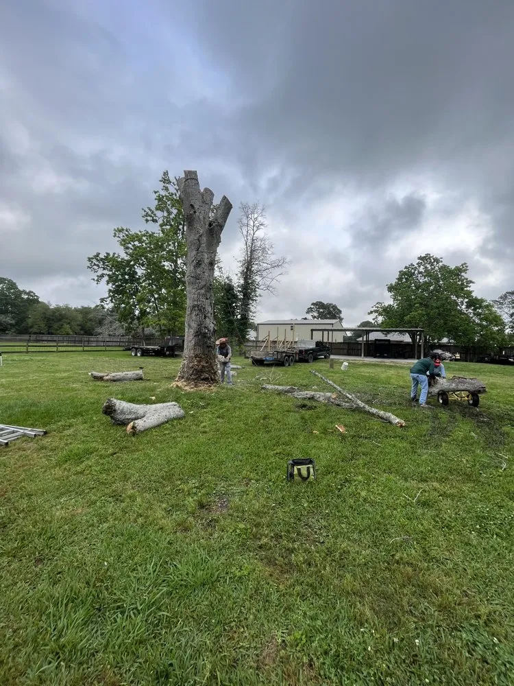 Local outdoor landscaping in Rosharon, TX - A&C Landscaping