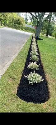 AC Landscaping
