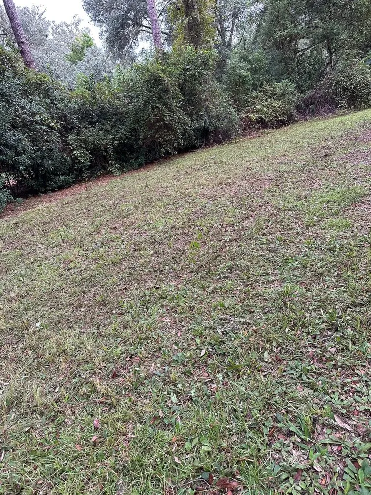 Trusted residential landscaping in Middleburg, FL - A&C Lawn & Landscaping