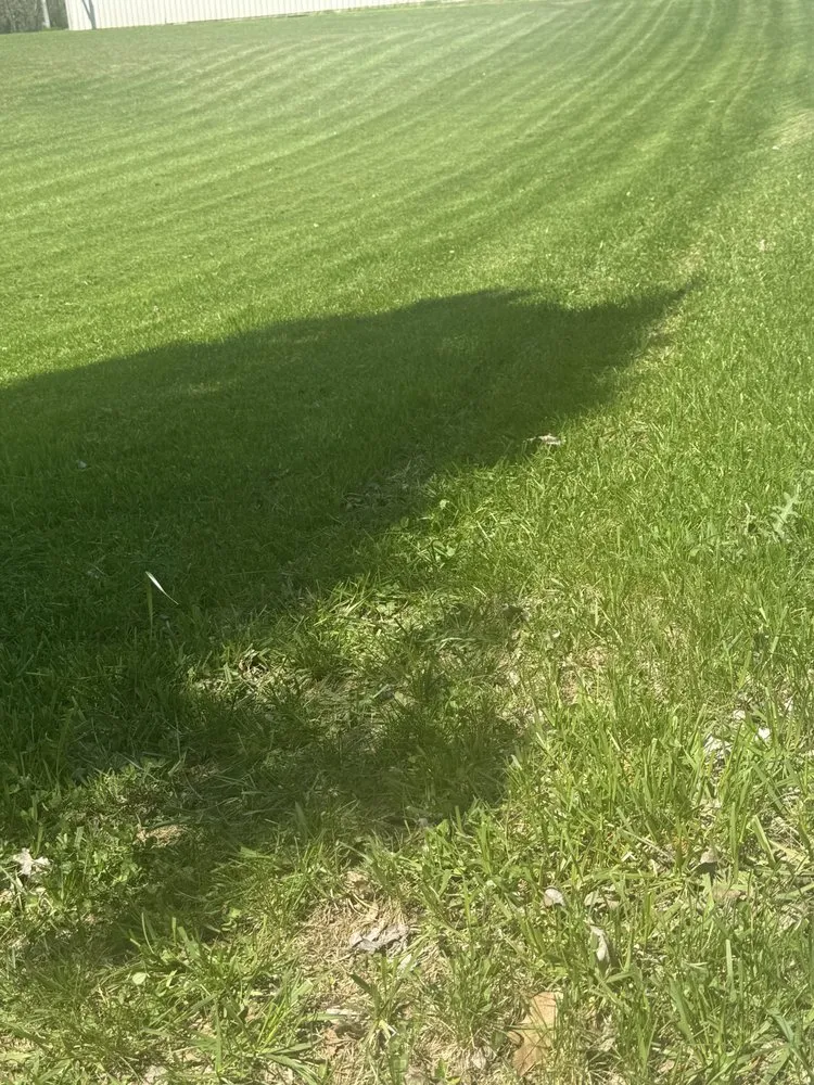 Local landscape design in Marengo, IN by A&C Lawn and Tree plus