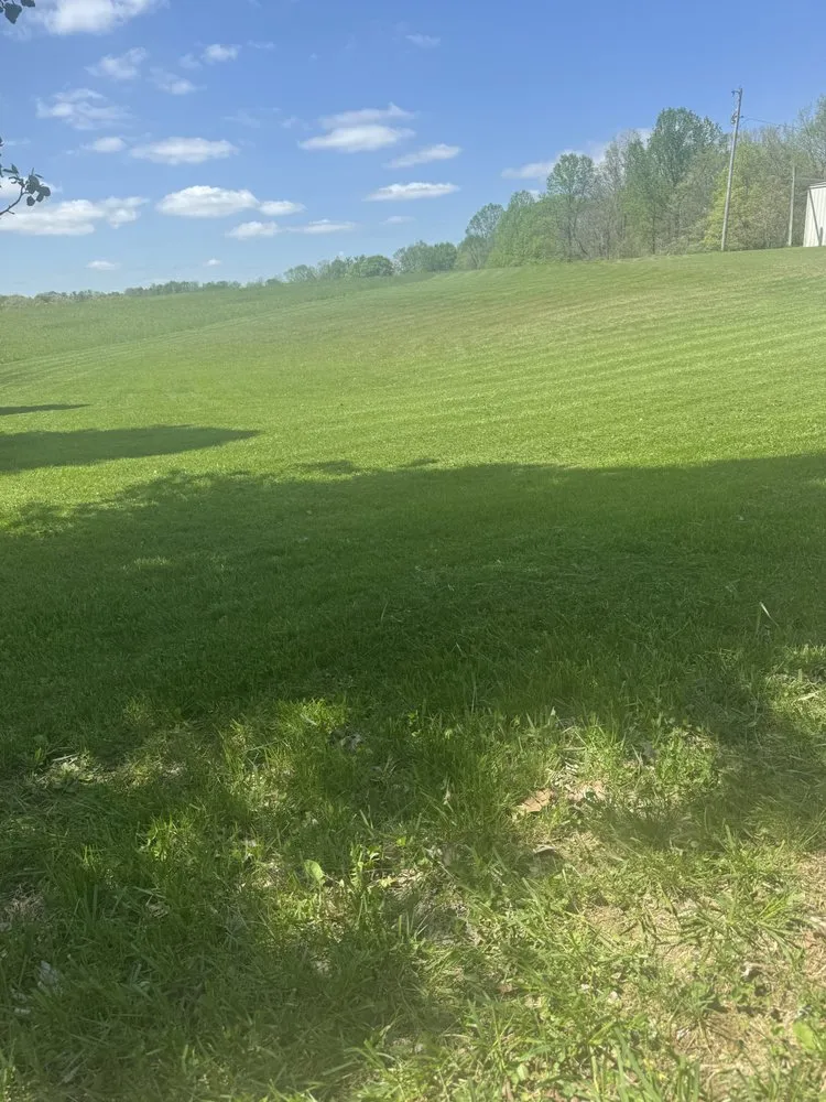 Reliable yard cleanup service in Marengo, IN - A&C Lawn and Tree plus