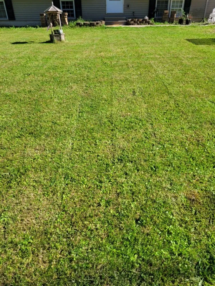 Top-rated outdoor landscaping for beautiful yards across Jackson, MI - AC Lawn Care & Snow Removal