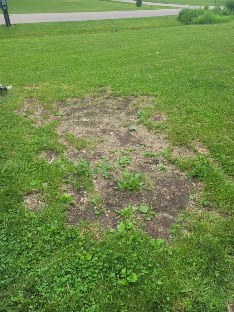 Custom outdoor landscaping experts serving Jackson, MI - AC Lawn Care & Snow Removal