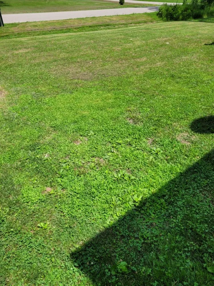 Professional lawn care service for residential properties in Jackson, MI by AC Lawn Care & Snow Removal